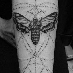 Whales_Clouds's profile picture. 