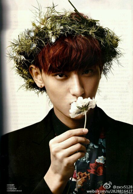 ผมคือเจ้าชายแพนด้า หล่อที่สุดในสามโลก ใจดี รักเด็ก(?) เกรียนนิดๆชีวิตแจ่มใส ผมจะดูแลประชาชนของผมทุกคนด้วยความรัก ฟอลมาหาเจ้าชายซิครับ^^ [ I'm Bot not REAL ]