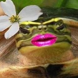 My two sis & I were stray turtles, but I know I'm mama's favorite. ;O)
