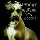 Marius smith - @Mariussmith7 - Twitter