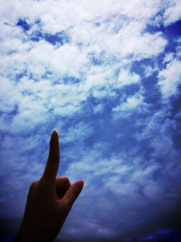 羊雲ちっちさんのプロフィール画像