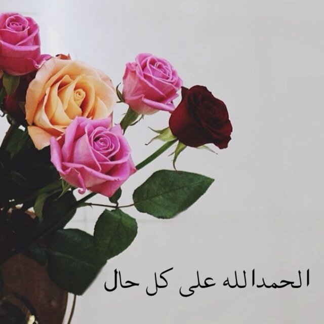 صدقه جاريه في ثواب الأموات