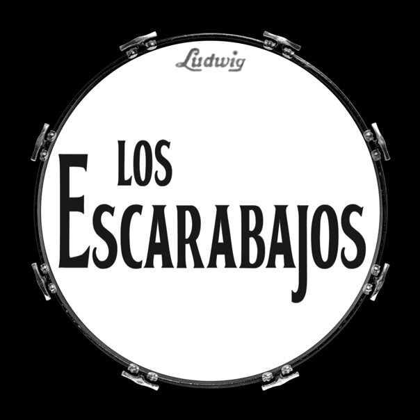 EscarabajosLos Profile Picture