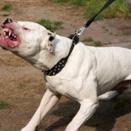 nicky51525243's profile picture. 