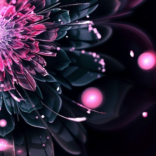 minasun391172's profile picture. Starting...