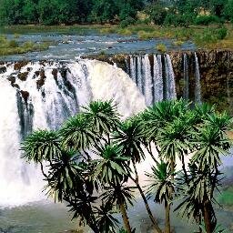 arba_minch's profile picture. نهتم بالأوقاف ونبث أوقات الصلوات