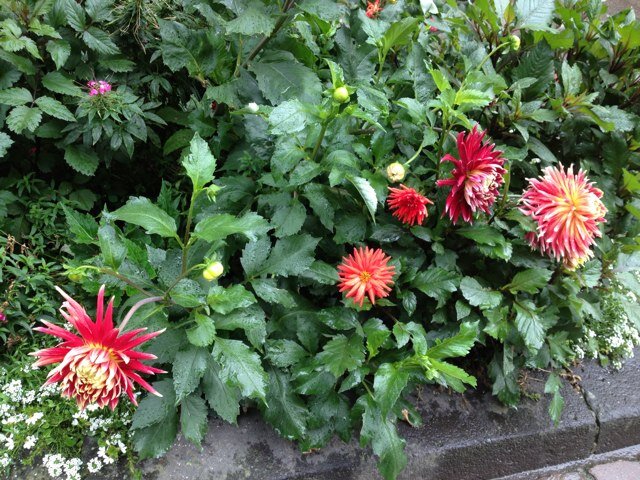 7noonaa_1's profile picture. 