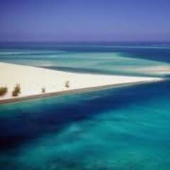 Maxixe__'s profile picture. نهتم بالأوقاف ونبث أوقات الصلوات