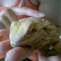 Matthew Cox (@obscureformula) 's Twitter Profile