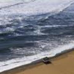 Windhoek_'s profile picture. نهتم بالأوقاف ونبث أوقات الصلوات