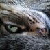 Arantxa Bea (@arantxa_bea) Twitter profile photo Arantxa Bea (@arantxa_bea) Twitter profile photo
