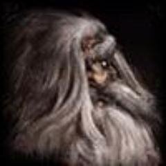 sunclerdari's profile picture. Не все то солнышко, что встает