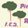 IesPinarOficial's profile picture. Twitter Oficial del IES Pinar de la Rubia de Valladolid