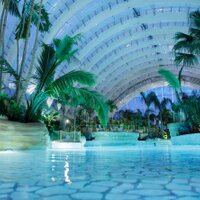 CP (@cp_troisforets) 's Twitter Profile