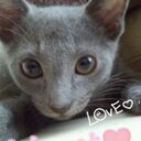 YUKI n KO (@012174) Twitter
