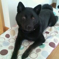 黒虎男 (@mic550206) Twitter profile photo