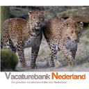Vacatures Emmen (@0591_Vacatures) Twitter