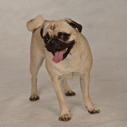 SUscherl's profile picture. 