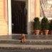 Tiz Leopizzi (@tizianaleopizzi) Twitter profile photo Tiz Leopizzi (@tizianaleopizzi) Twitter profile photo