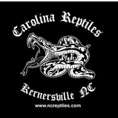 Reptile and exotic animal sales