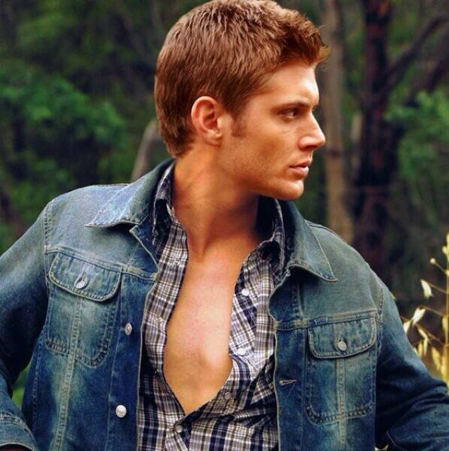 My name is Dean Winchester. I'm an Aquarius. I enjoy sunsets, long walks on the beach, and frisky women. #SPN #RP 18+ [single]