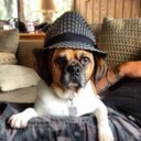 Jen Dempsey - @jbertone1 - Twitter