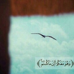 حساب صدقة جاريه لـ( حمد العمران ) رحمه الله متخصص للأدعية وذكر الله .. نسأل الله ان ينفعه في قبره. تسعدنا متابعتكم ونشر الحساب. في الجنة لقاؤنا بإذن ربي.