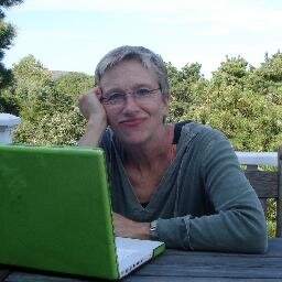 writer/teacher/interpreter of old houses