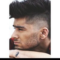 Zayn (@zaynfsos) 's Twitter Profile Photo