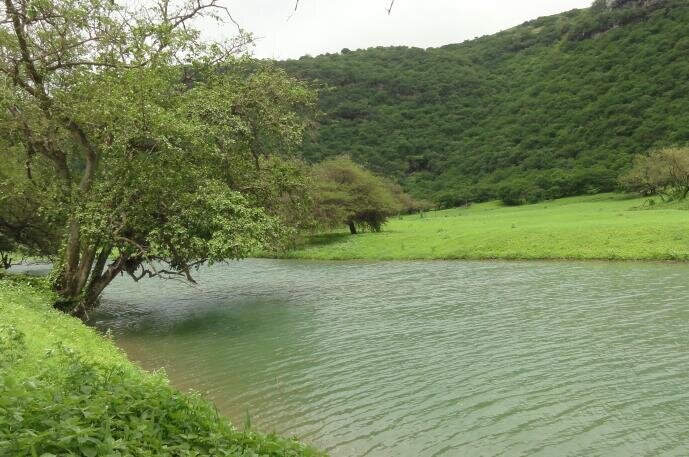 ‏ابوعبدالمحسن