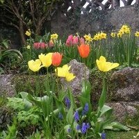 susan elizabeth (@susan_welch7) 's Twitter Profile