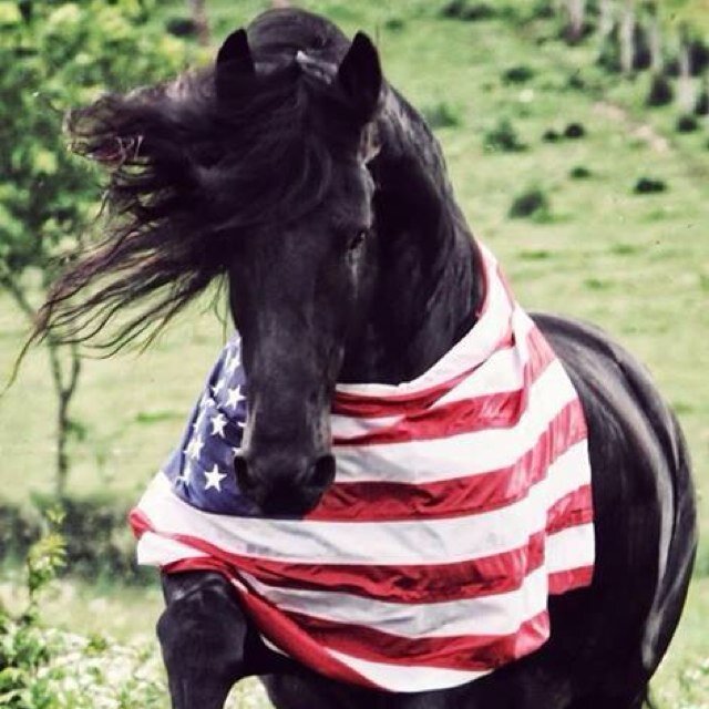 5Sparkies's profile picture. Always moving and thinking...