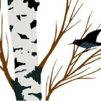 Silver Birch Press(@SilverBirchPres) 's Twitter Profile Photo