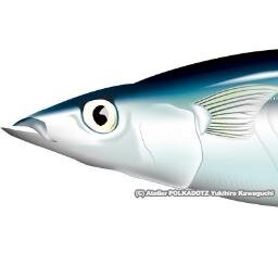 食べるの大好き！！ここでは、特に「鮨」について美味しい情報を発信します＾＾ 「いいね！」と思ったらＲＴ＆フォローお願いしますｖ