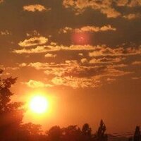 高橋正和 (@makoshi1) 's Twitter Profile