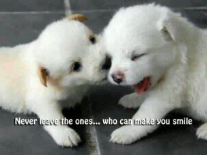 Never 2 give up on ur dream or what u know ur Capable of doing u are the only person that can stop it nobody else can.