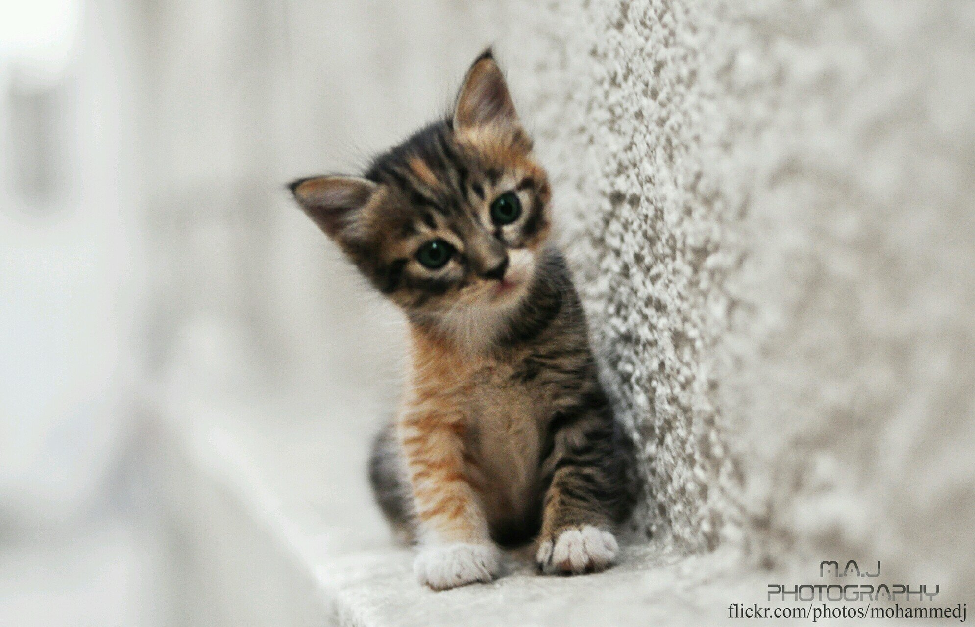 привет я прошу вас писать по русски мой переводчик не сомной. Love!!!!!!