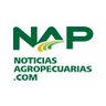 InfoNAP's profile picture. Primera agencia de noticias especializada en internet, desde 2002. Última en twitter...
(Edición: Gabriel Quáizel)