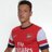 ozil_facts