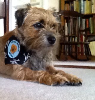I am an independent thinking female BT. I do as I please and generally give the humans the runaround, but....they love me xxxx I luv Mr Whisk, my bro.