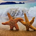 Marie-Claude Tardif - @Mathymoto - Twitter