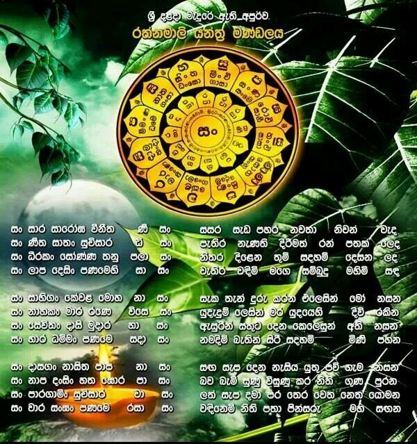 jayawardana_'s profile picture. 