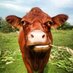 WindReach Farm (@windreachfarm) Twitter profile photo WindReach Farm (@windreachfarm) Twitter profile photo