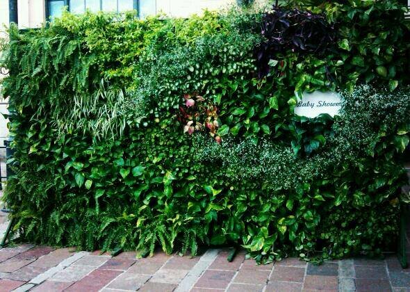 Verdetotal es una empresa duranguense ,que tiene como objetivo enverdecer tu vida, con diseño de areas verdes, creacion y renta de jardines verticales