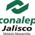 Conalep Mazamitla (@conalepmaza) Twitter profile photo Conalep Mazamitla (@conalepmaza) Twitter profile photo