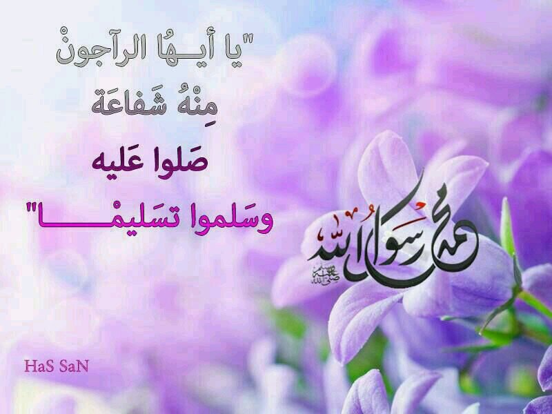 عضو هيئة تدريس في تخصص البلاغة. مدربة معتمدة في تطوير الذات. لايف كوتشينج في التخطيط واكتشاف المسار المهني. عضوة في نادي التوستماستر للخطابة والإلقاء.
