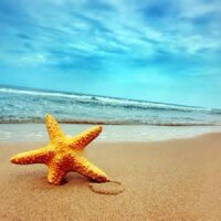 Gisele Rosas (@gisele_rosas1) 's Twitter Profile Photo Gisele Rosas (@gisele_rosas1) 's Twitter Profile Photo