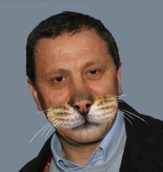 Miagolo sui tetti di Pietrapertosa.