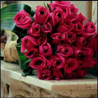 ssaasa14's profile picture. 