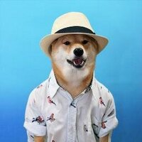 Cute Corgis (@cutecorgis) 's Twitter Profile